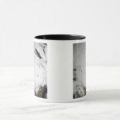 Cloudsimulatie van één dag 2 mok (Midden)