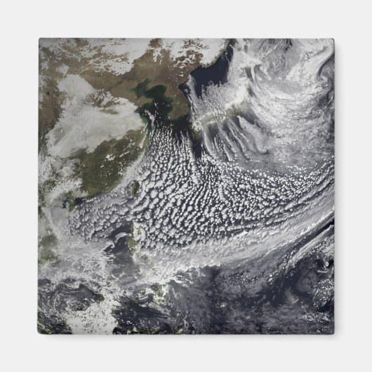 Cloudsimulatie van één dag 4 magneet (Voorkant)