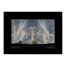 Cloudsweep - Twee wolven Quote