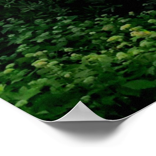 Cloudy Blue Ridge Mountains Poster (Hoek)