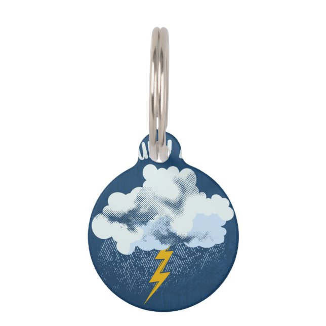 Cloudy Day Huisdierpenning (Voorkant)