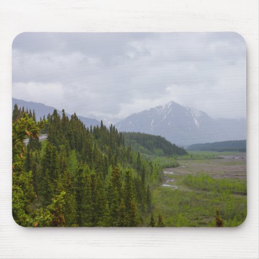 Cloudy in Denali Muismat (Voorkant)