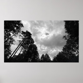 Cloudy Skies, Poster