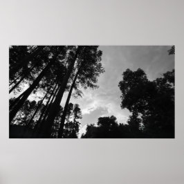 Cloudy Skies, Poster