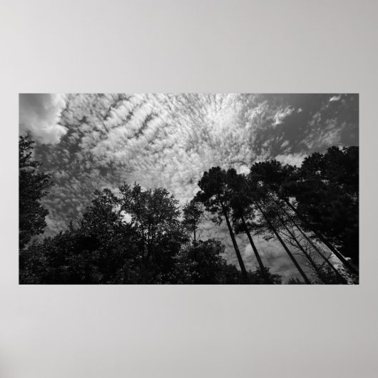 Cloudy Skies, Poster (Voorkant)