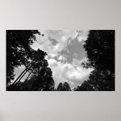 Cloudy Skies, Poster (Voorkant)