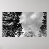 Cloudy Skies, Poster (Voorkant)