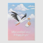 Cloudy Sky Stork Baby Shower Insert Vellum Uitnodigingen (Voorkant)