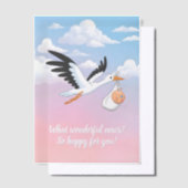 Cloudy Sky Stork Baby Shower Insert Vellum Uitnodigingen (Offset)