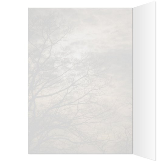 Cloudy Sun Scene (Binnen (Links))