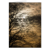Cloudy Sun Scene (Voorkant)