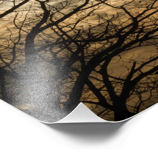 Cloudy Sun Scene Foto Afdruk (Hoek)