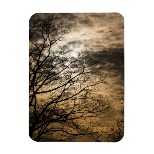 Cloudy Sun Scene Magneet (Verticaal)
