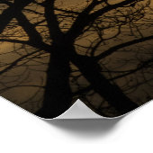 Cloudy Sun Scene Poster (Hoek)