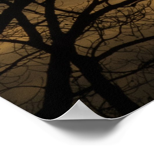 Cloudy Sun Scene Poster (Hoek)
