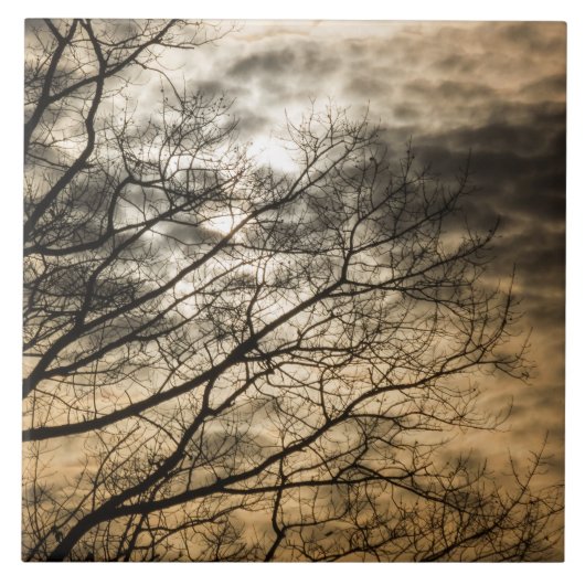 Cloudy Sun Scene Tegeltje (Voorkant)