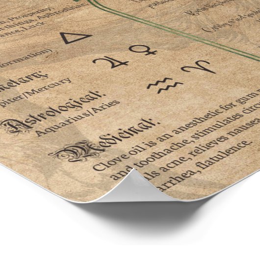 Clove Herbal Book of Shadows Pagan Wiccan Poster (Hoek)