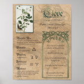 Clove Herbal Book of Shadows Pagan Wiccan Poster (Voorkant)
