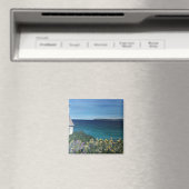 Clovelly Devon Magneet (Insitu (Vaatwasser))