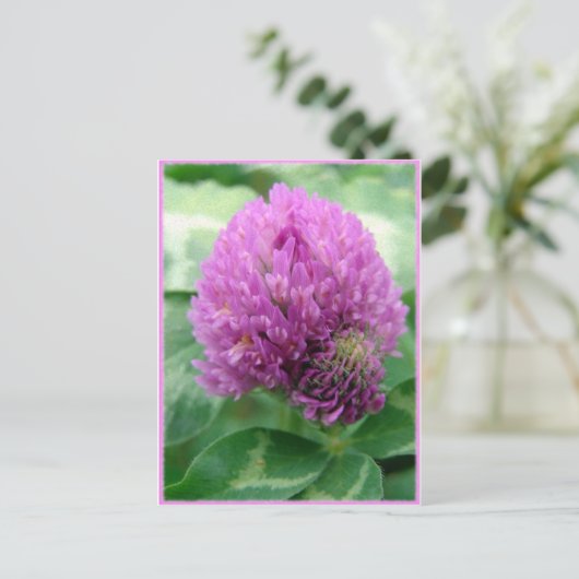 Clover Art Briefkaart (Staand voorkant)