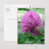 Clover Art Briefkaart (Voorkant / Achterkant)