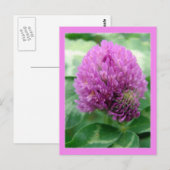 Clover Art Briefkaart (Voorkant / Achterkant)