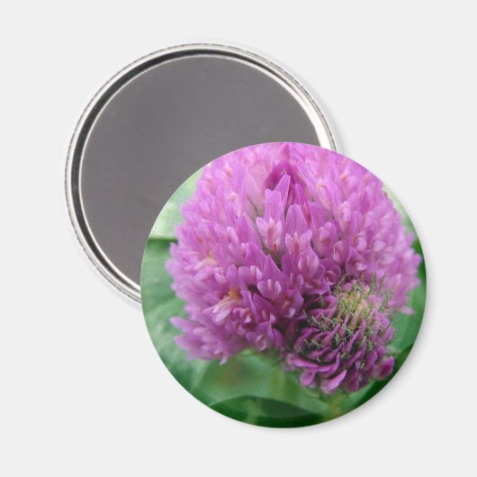 Clover Art Magneet (Voorkant / Achterkant)
