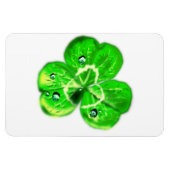 Clover Dew Druppels Magnet Magneet (Horizontaal)