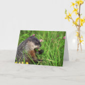 Clover-etende grondhog Kaart (Gele Bloem)