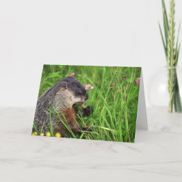 Clover-etende grondhog Kaart