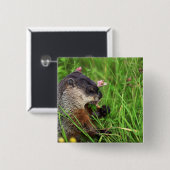 Clover-etende grondhog vierkante button 5,1 cm (Voorkant /achterkant)