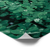 Clover Field Groene Typografie LIEFDE Poster (Hoek)