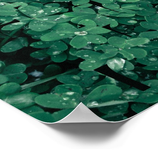 Clover Field Groene Typografie LIEFDE Poster (Hoek)