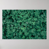 Clover Field Groene Typografie LIEFDE Poster (Voorkant)