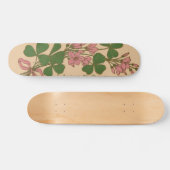 Clover Skateboard (Horizontaal)