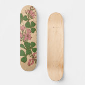 Clover Skateboard (Voorkant)