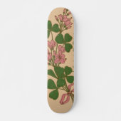 Clover Skateboard (Voorkant)
