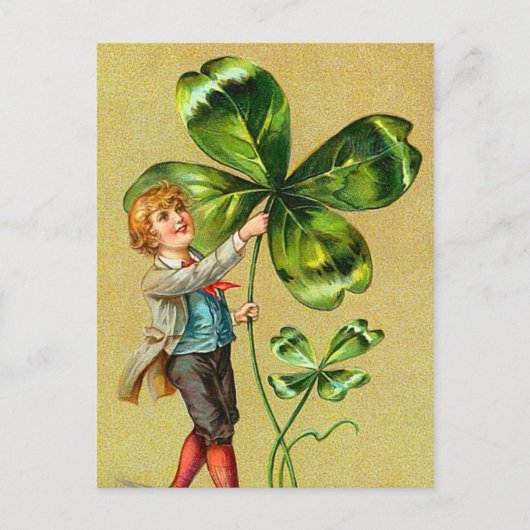 Clover St. Patrick's Day Briefkaarten (Voorkant)