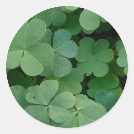 Clover Sticker (Voorkant)