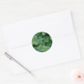Clover Sticker (Envelop)