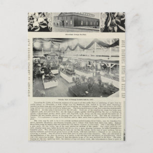 Cloverdale, Californië Briefkaart