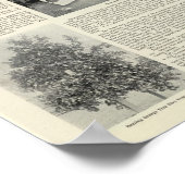 Cloverdale, Californië Poster (Hoek)