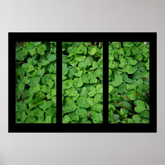 Cloverleaf Triptych Poster (Voorkant)