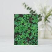Clovers Custom Briefkaart (Staand voorkant)
