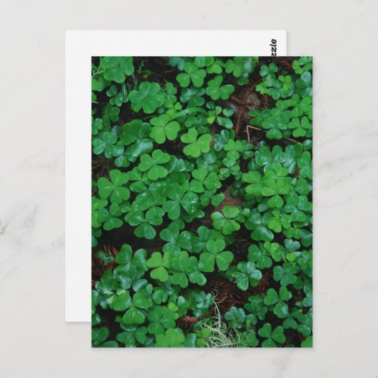 Clovers Custom Briefkaart (Voorkant / Achterkant)