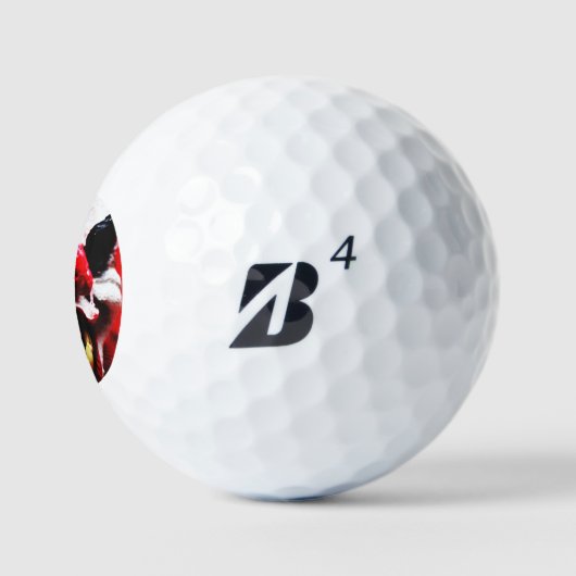 Clown 1 be6 gbcna golfballen (Logo)