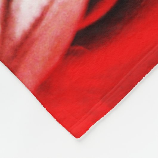 Clown 1 fbcna fleece deken (Hoek)