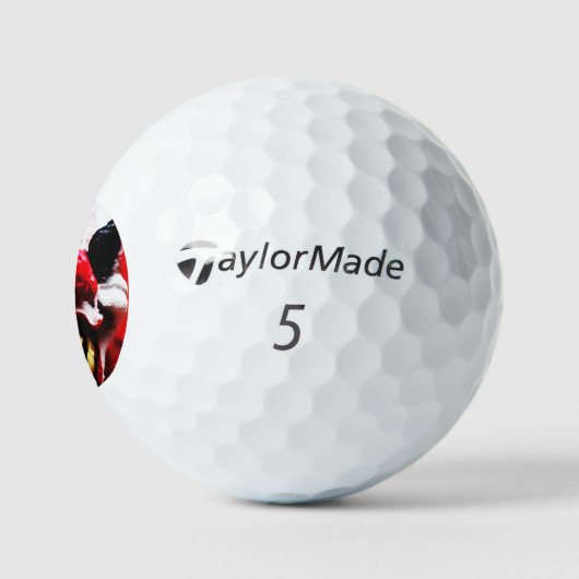 Clown 1 tmtp5 gbcna golfballen (Logo)