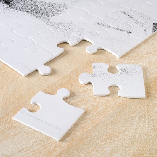 Clown 3 11x14 30pc jpcna legpuzzel (Zijkant)