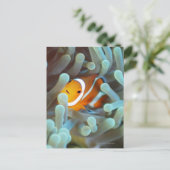 Clown Anemonefish Briefkaart (Staand voorkant)